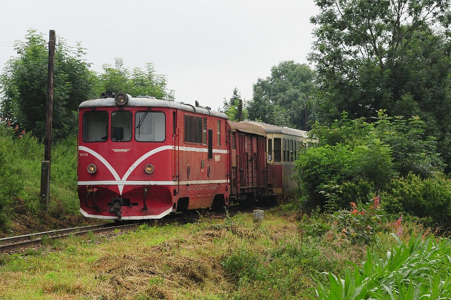 2020.07.19 JHMD T47.018 und T47.005 Jindřichův Hradec - Nová Bystřice (13)